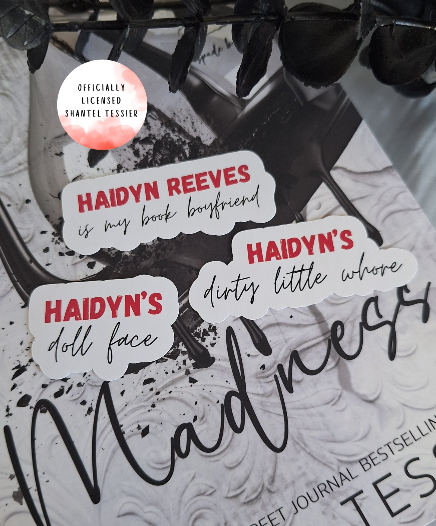 Haidyn Reeves Stickers
